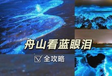 以ZVMLo口素质为主题的探讨（探索ZVMLo口素质的重要性及提升方法）