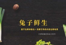 生鲜电商（以生鲜电商为例，探讨电商行业发展与挑战）