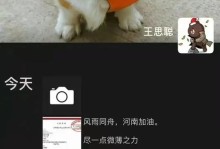 王思聪（一探中国首富的慈善事业与影响力）
