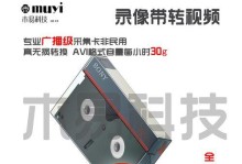 电脑显示DVLD错误解析（了解DVLD错误的原因和解决方法）