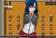 华硕RT-N66U无线路由器的性能及功能分析（一款高效稳定的无线网络解决方案）