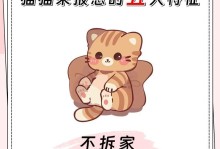 如何安猫和使用安卓系统,猫咪的安置之道