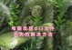 电脑上传文件错误的原因及解决方法（电脑提示上传文件错误，如何解决？）