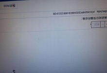 教你轻松在线安装国产系统（学会国产系统在线安装的简便方法）