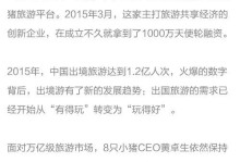 8只小猪的口碑如何？（探究8只小猪的关键特点与用户评价）