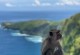苹果手机去过的地方,揭秘苹果手机记录的旅行轨迹