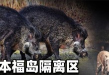 人体辐射超标的危害与防范（探究辐射超标对人体健康的影响及预防措施）