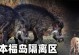 人体辐射超标的危害与防范（探究辐射超标对人体健康的影响及预防措施）