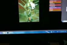 解决苹果电脑导出照片未知错误的方法（轻松应对照片导出问题，快速修复未知错误）