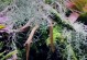 雨林安装系统教程（让你的计算机焕然一新的简单方法）