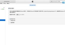 苹果照片导入电脑显示错误的解决办法（解决苹果照片导入电脑显示错误的方法和技巧）