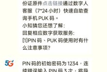 探讨台式电脑PIN码输入显示错误的原因及解决方法（揭秘台式电脑PIN码输入显示错误的真相与解决之道）